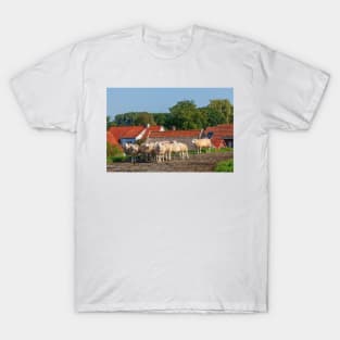 Sheep on the dike, Elsfleth T-Shirt